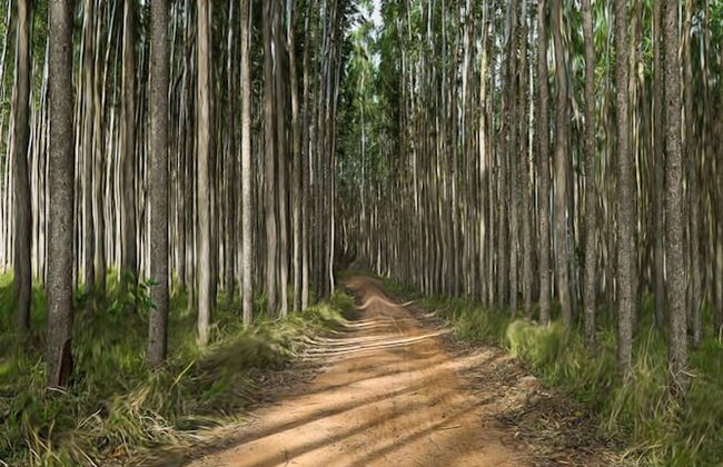 Buganville Villas - Foto 78