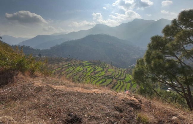 Tree of Life Junoon in The Hills - Foto 39