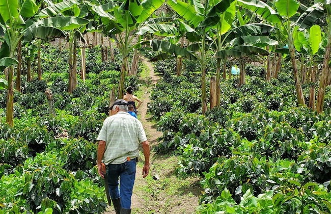 Villa Alejos - Foto 36