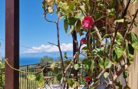 Efi Loutses - Foto 26