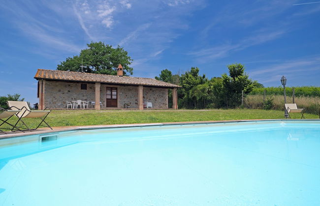 Tenuta di Corbara - Foto 4