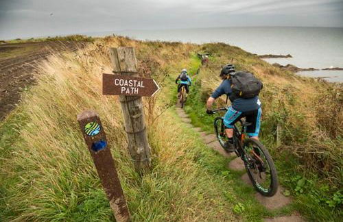 Creel Cottage, Lower Largo - Foto 21