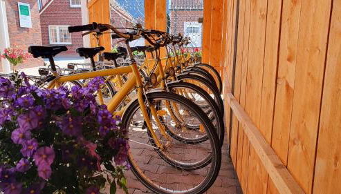 FeWo-Butze 1 Dornumersiel - Foto 3