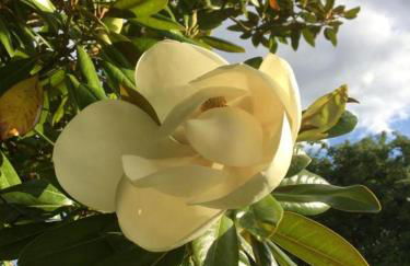 Little Banks Cabin - Foto 37