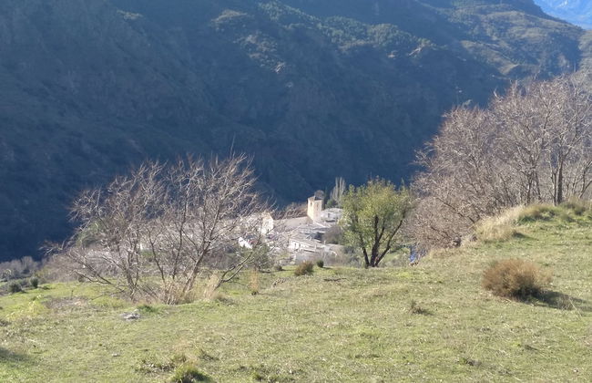 Castaño Real - Photo 22