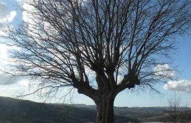 Roč Holiday Home - Foto 58