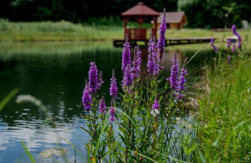 Ranczo Czerwony Młyn & Spa - Foto 7