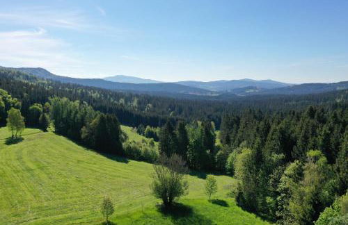 Altes Forsthaus Bodenmais - Foto 26