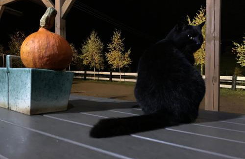 Toskania Kociewska - Photo 28