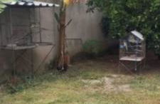 Recanto dos pássaros - Foto 8