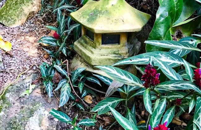 Loft Aconchegante em Meio à Natureza - Foto 46