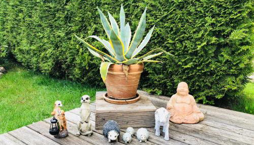 Ferienhaus am Mümmelbrook - Foto 4, Garden, Garden view