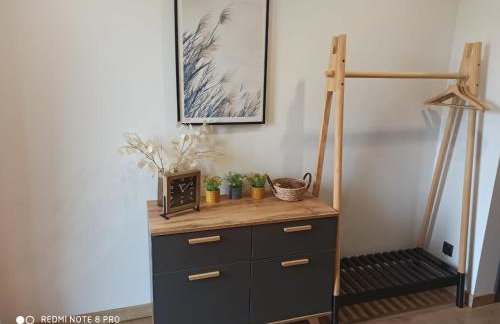 Willa Maja Bieszczady noclegi Bieszczady - Foto 21