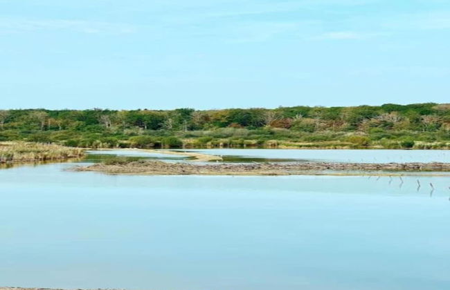 Chalet in Belgium With Stunning Views - Foto 31