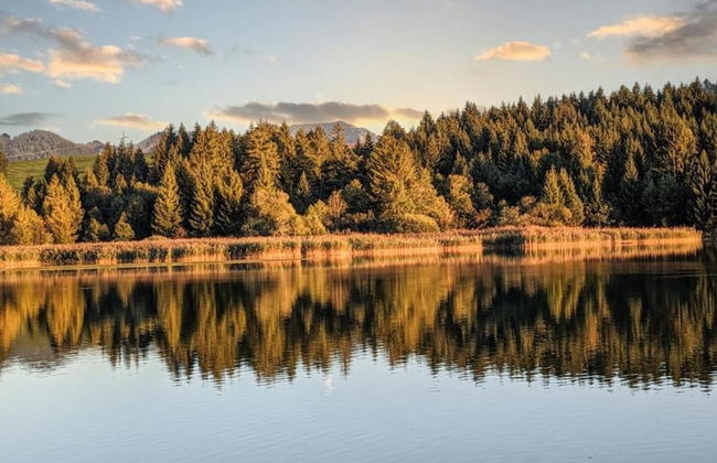 Aesthetic Apartment in Halblech Germany near Ski Area - Foto 30