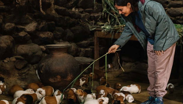 Dive into the daily life of the times