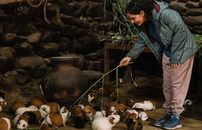 Visita guidata di Ollantaytambo - Foto 3