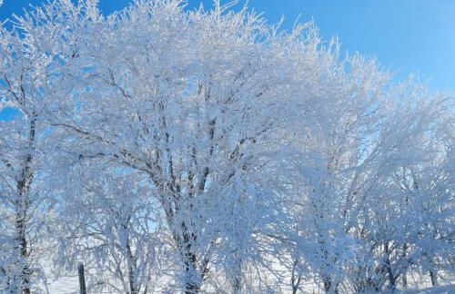 Bel appartement « Les Monts du Cantal » - Photo 25