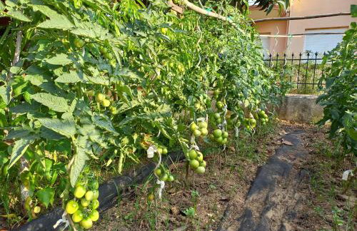 Elysion point Apartment - Foto 36