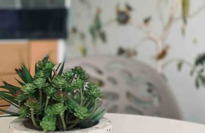 Serendipity ~ Romantic Hideaway in Ambleside - Foto 17