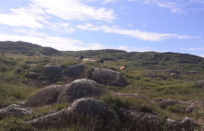 Cuckoo Tree House, Glengarriff, Beara Peninsula - Foto 23