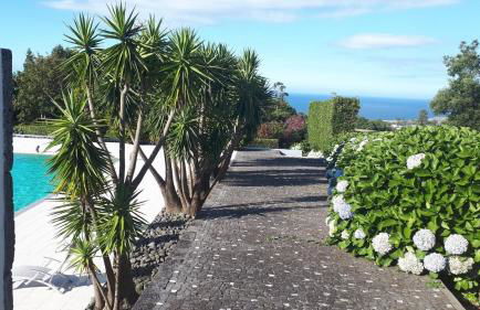 Quinta das Flores - Photo 28