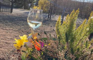 Luxe, landelijke vakantiewoning der alte Birnenbaum Duitsland-Sankt Wendel - Foto 44