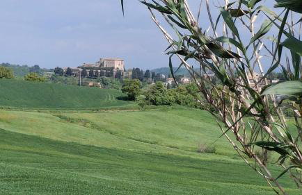 Casa Oliva - Foto 3