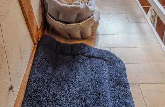 Forsthaus Trabronn | Sauna | eingezäunt | Grillplatz - Photo 70