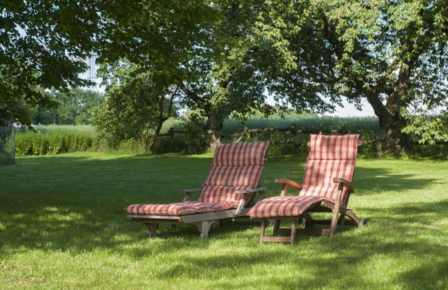 Holiday Apartment Trulich Hoff - Foto 16