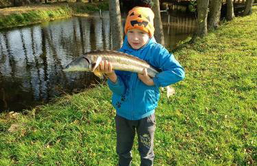 Agroturystyka nad potokiem - Foto 50