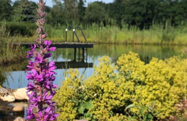 Der Welfenshof - Foto 22