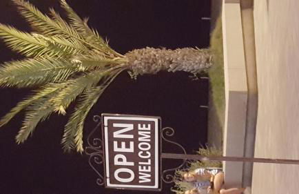 El Velero, una terraza al mar - Foto 44