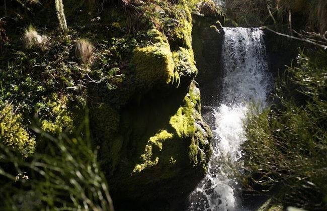 Eco dos Teixos - Foto 12