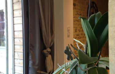 Villa Camélia - Photo 12