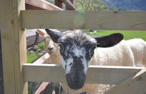 3 Bed in Bridekirk 85717 - Foto 33