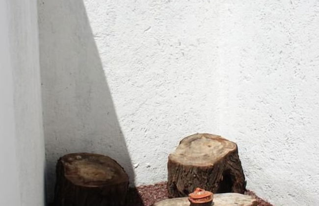 Casa Azuela & Valencia - Foto 34