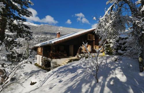 Sous les Ecotagnes - Foto 40