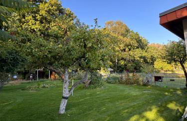 Sunlit Garden - Ruhig am Wald nahe Warnow Rostock - Kamin - Foto 46