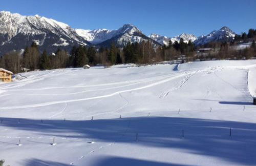 Baldauf's Alpchalet - Photo 10