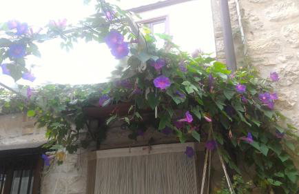 Cortile Suez - Foto 8