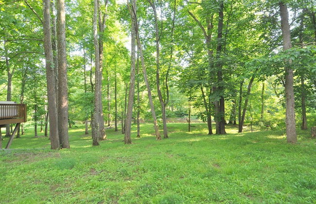 Sleepy Creek - Creekside Escape - Foto 24