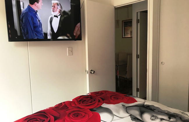 Cosmopolita - Foto 57