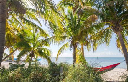 Natures Edge by Last Key Realty - Foto 44