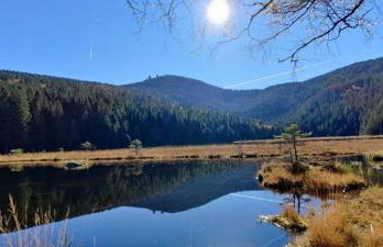 FeWo H.Reußwig - Foto 18