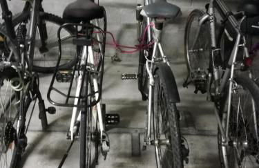 Location d Armelle - Moliets - Foto 58