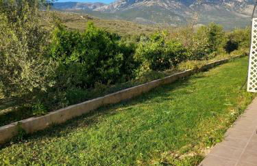 4T apartments - Foto 66