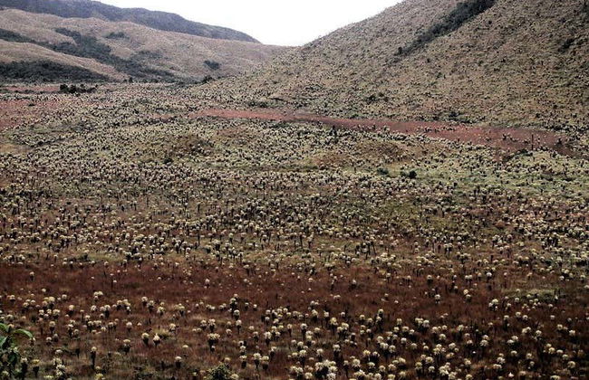 Senderismo por Guachucal y la laguna de La Bolsa - Foto 1