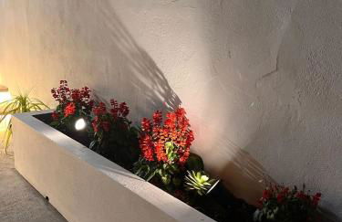 Raízes AL - Photo 4