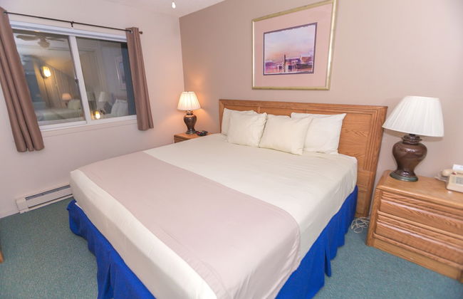 The Grey Gull - Foto 69